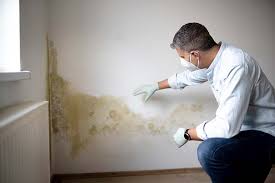 Best Mold Damage Restoration  in Fox Farm College, WY